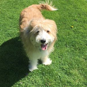 Meet your Posher, Emma
